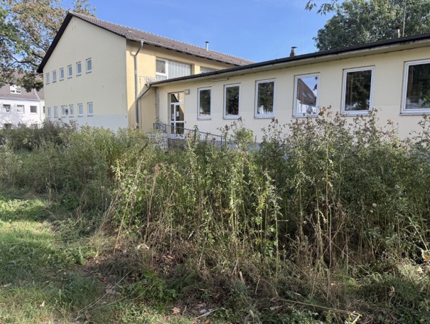 Bild1